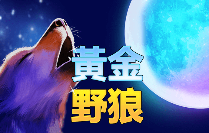 bob全站登录手机网页版